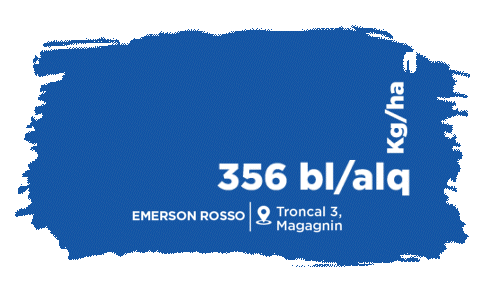 Agroeste