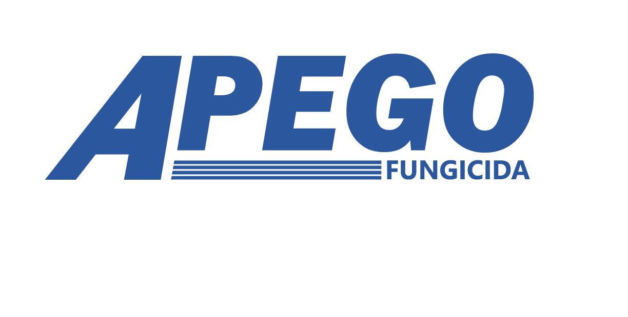 Apego