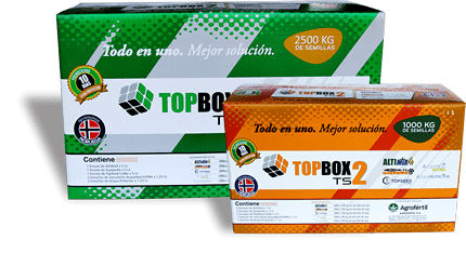 TOP BOX TS2