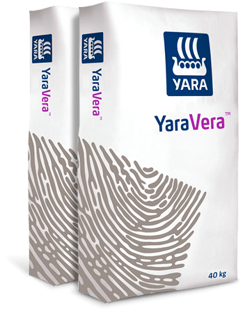 Yara Vera