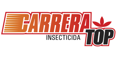 Carrera Top