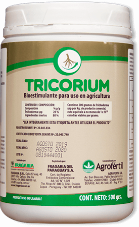 Tricorium