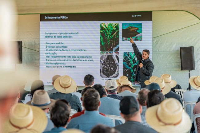 Encuentro Tecnológico de Maíz