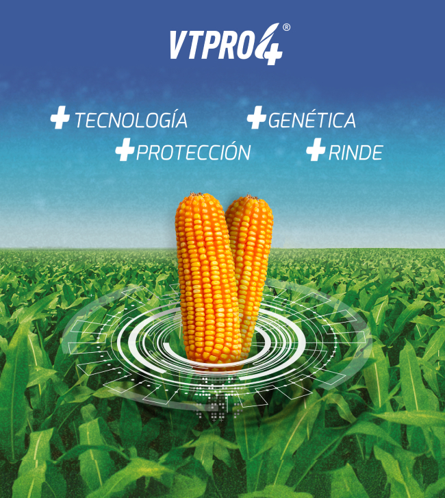Tecnología VTPRO4 en maíz