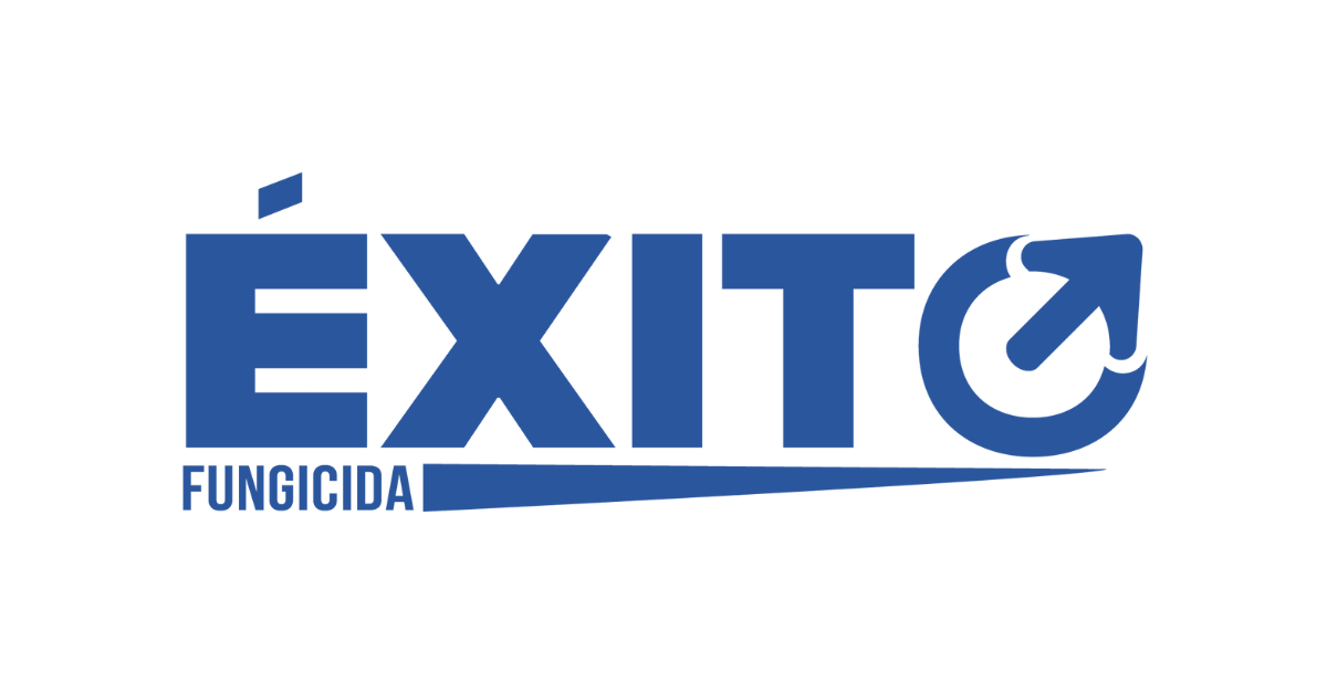 Éxito