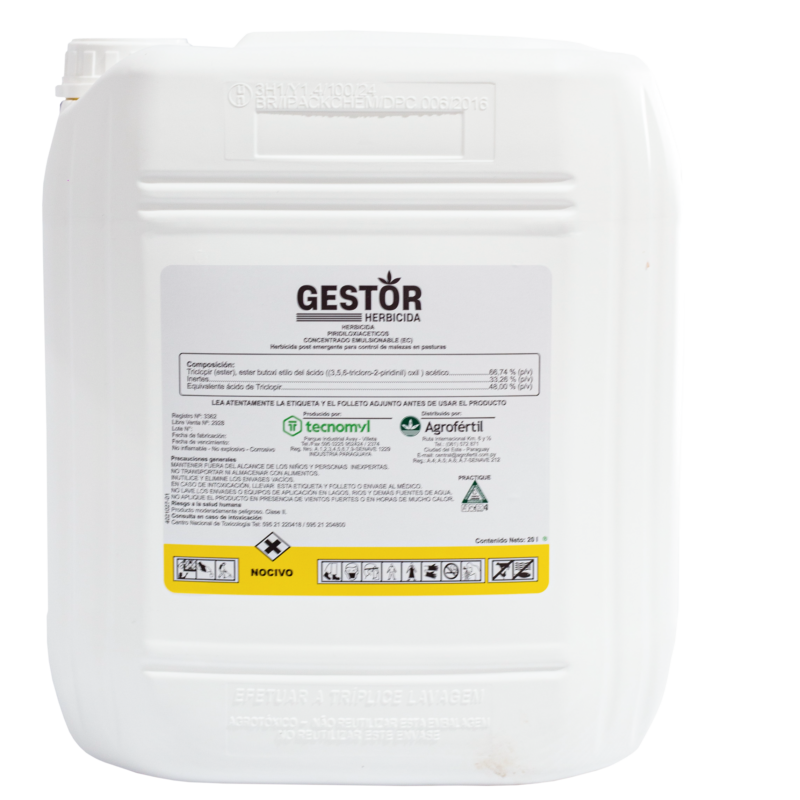 Gestor