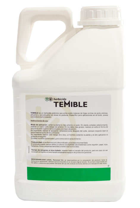 Temible