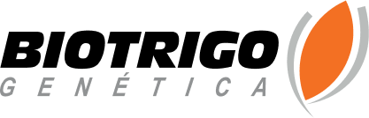 Semillas de trigo