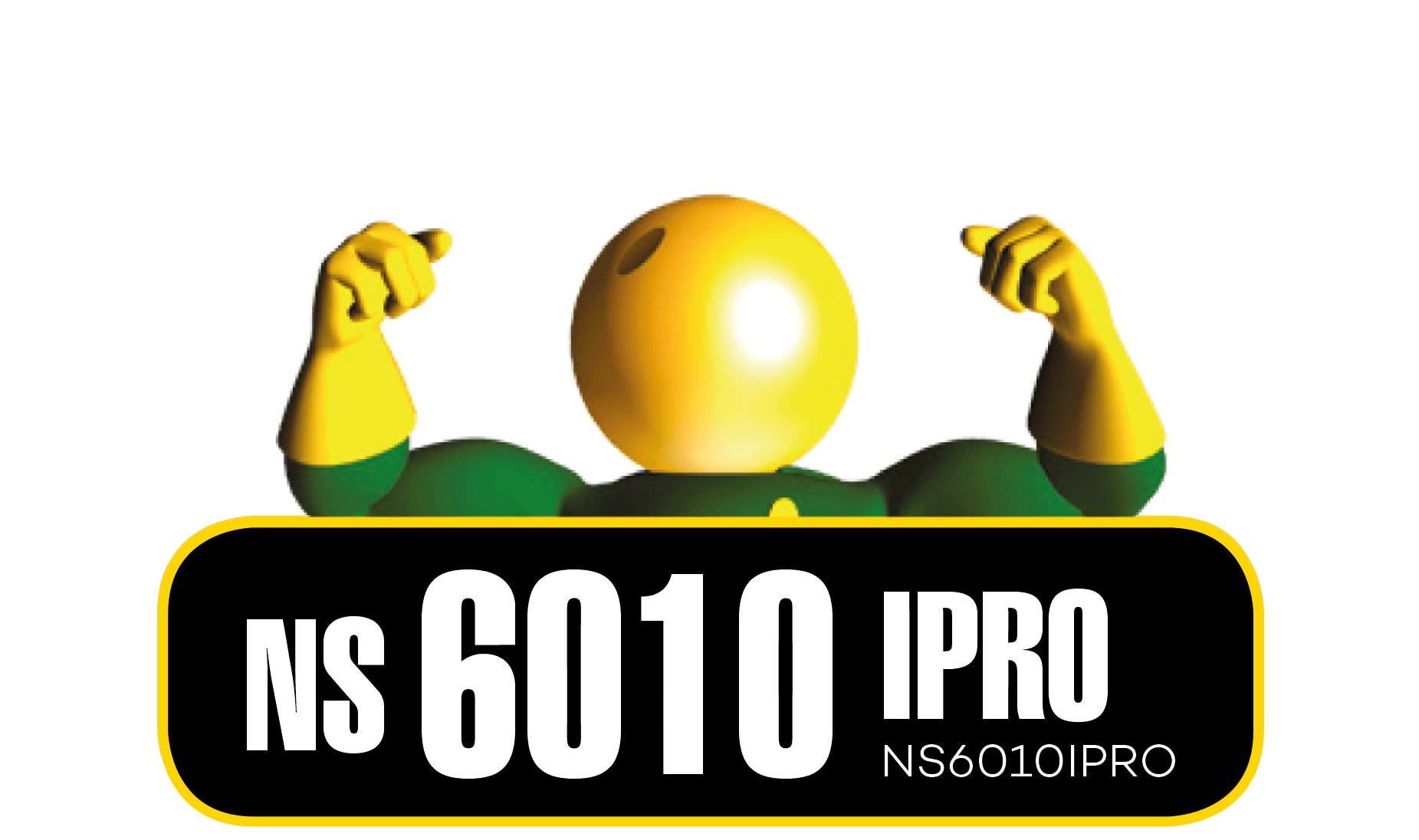 Semillas Nidera NS 6010 IPRO