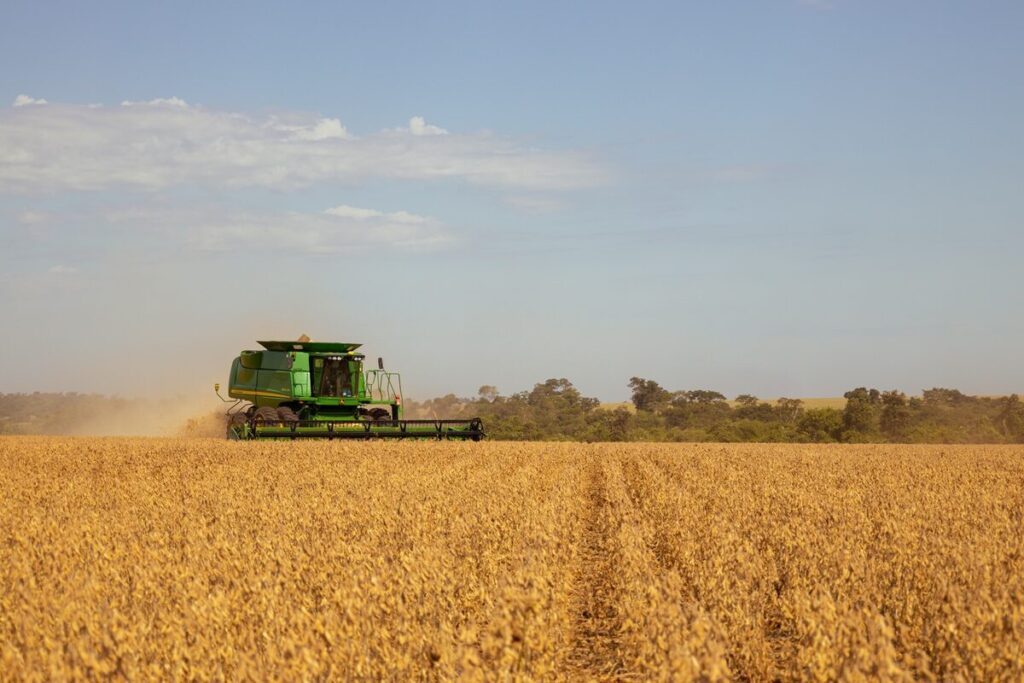 Campo de soja saludable con manejo preventivo de enfermedades