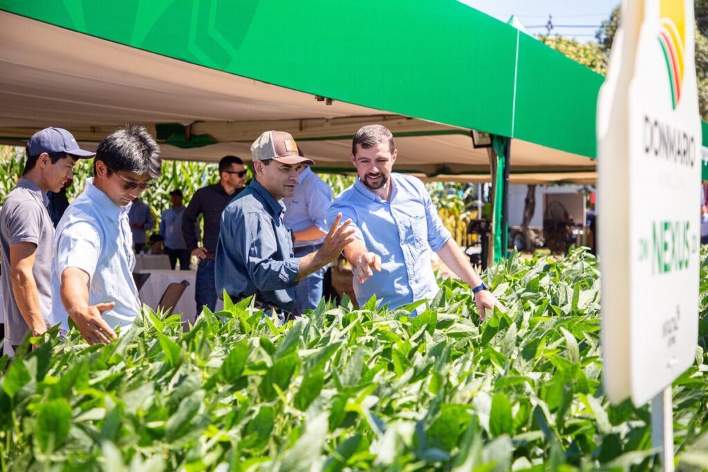 Variedad Neo 600 i2x STS de soja Neogen durante crecimiento vegetativo en campo