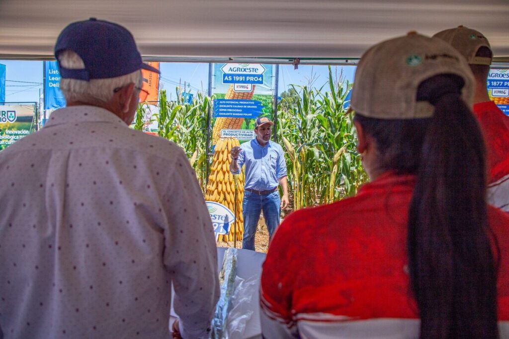 Interfaz de YVY Agricultura Digital mostrando datos analíticos y mapas de campos en tiempo real