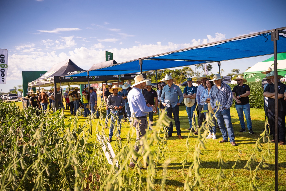 Recorrido a campo durante el Encuentro Tecnológico Agrofértil