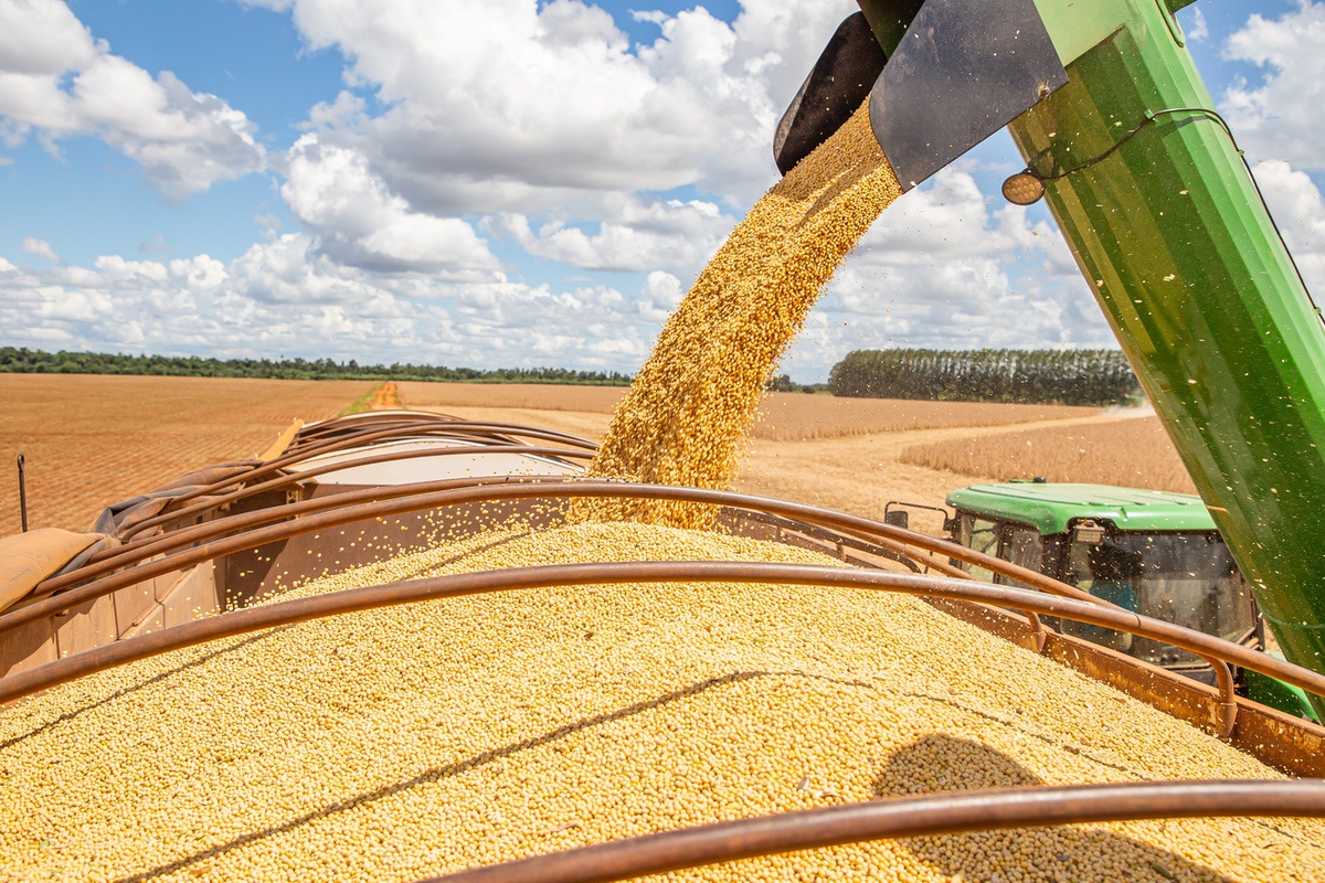 Cultivo de soja en Paraguay - Cosecha récord y logística de granos