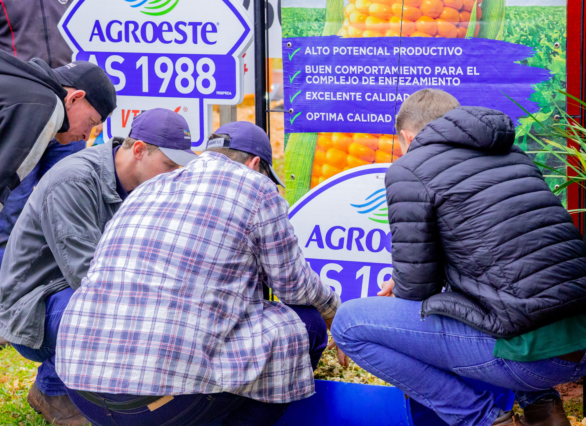 Productores conocen el híbrido Agroeste AS 1988 PRO4 en la Expo Cooprolanda 2026
