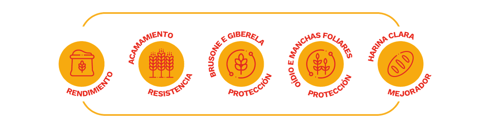 Íconos de atributos agronómicos de ORS Falcão