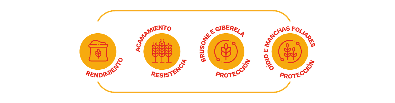 Íconos de atributos agronómicos de ORS Gladiador