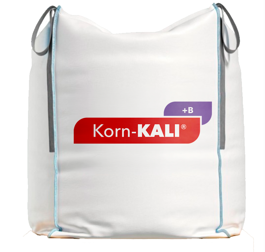 Korn Kali + B